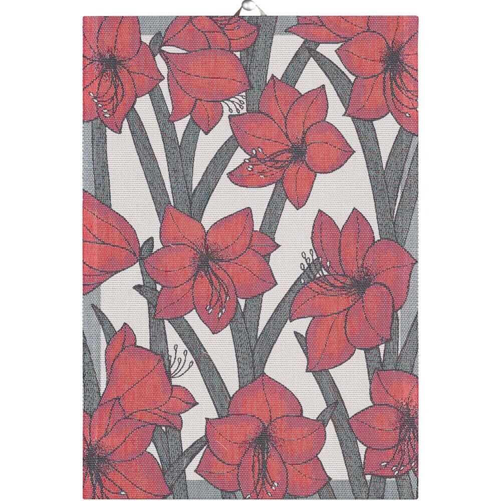 Amaryllis kökshandduk 35x50 cm